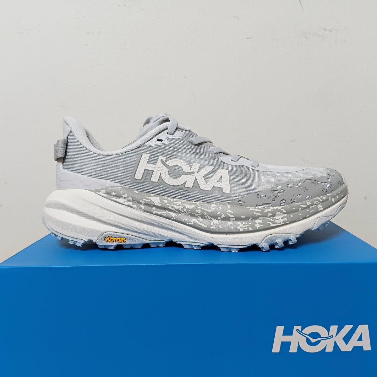 Womens Hoka Speedgoat 6 (B-Width)